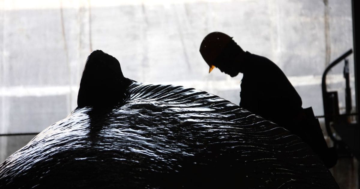 共同船舶の徹底した衛生管理とトレーサビリティ！～鯨肉はこうして安全に届く～