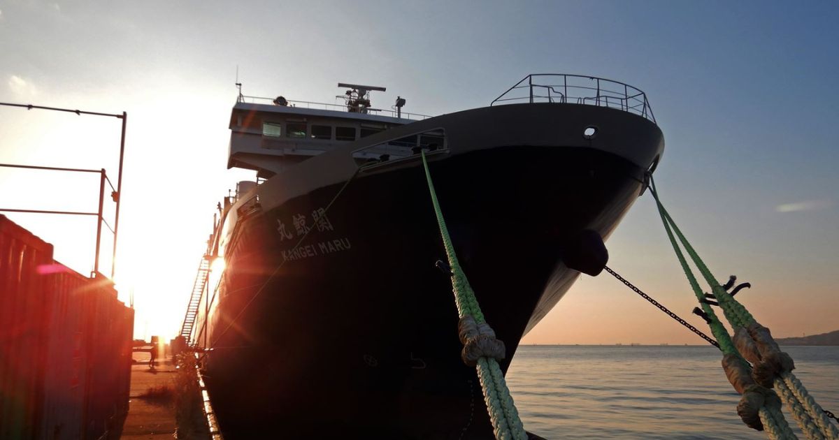 国産捕鯨母船「関鯨丸」とは？誕生の背景から最新設備・船内機能までを徹底解説！