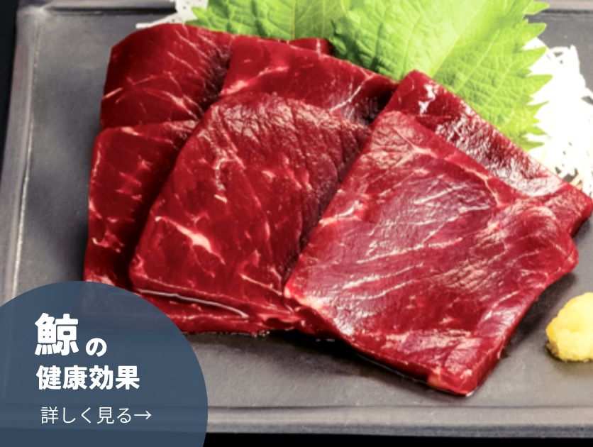 クジラをもっと知る