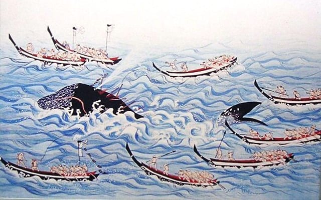 くじらはいつから食べられている？くじらと日本人の長い付き合い