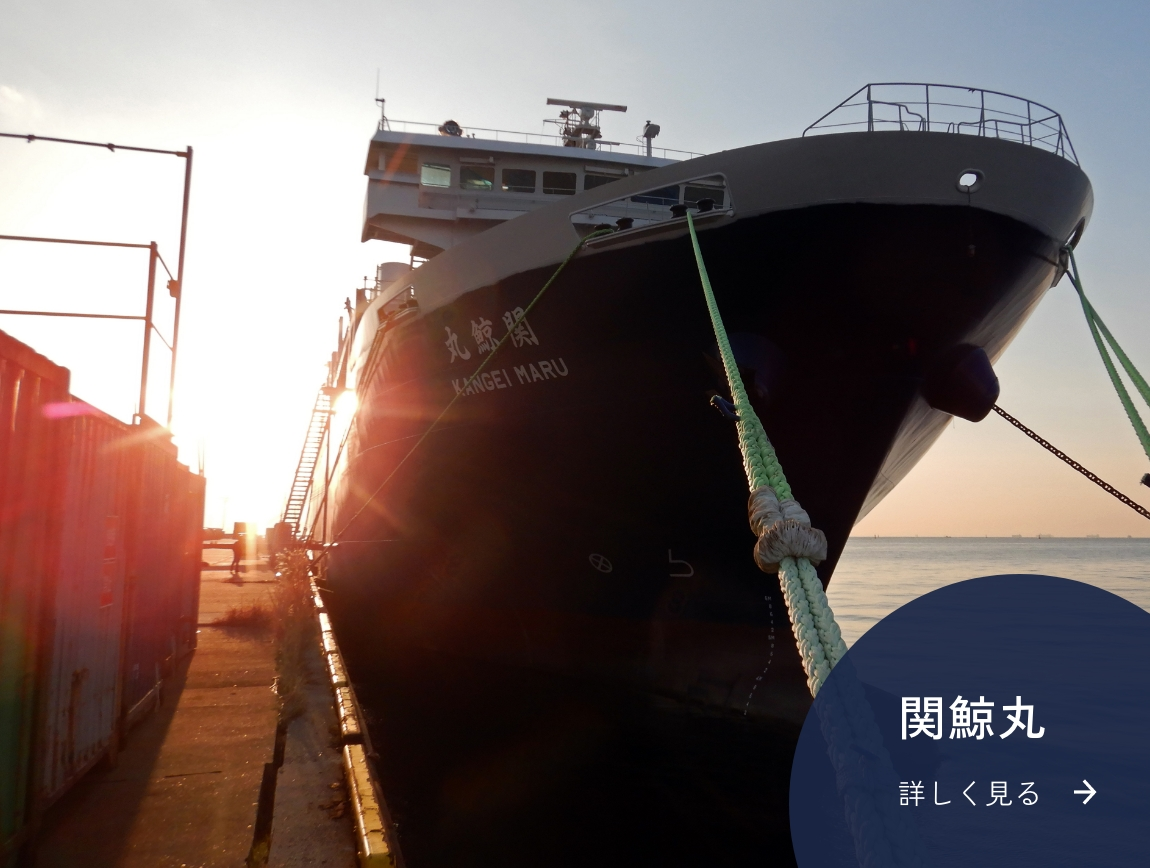 クジラと日本の文化