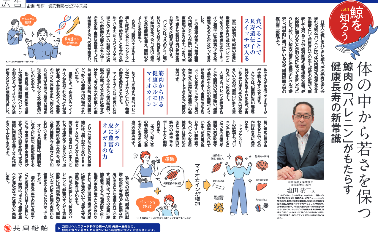 読売新聞に『鯨の健康増進機能』に関する内容を掲載しました！