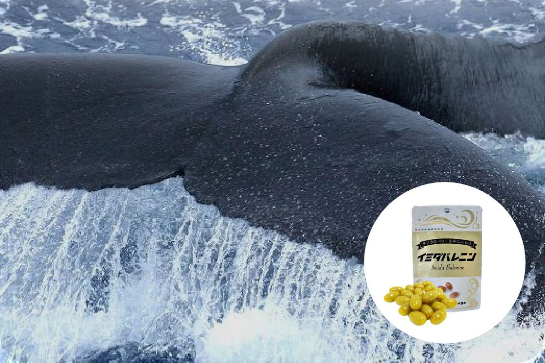 くじらの元気成分「バレニン」配合！イミダバレニン
